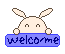 welcome lapin